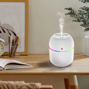Mini USB Humidifier